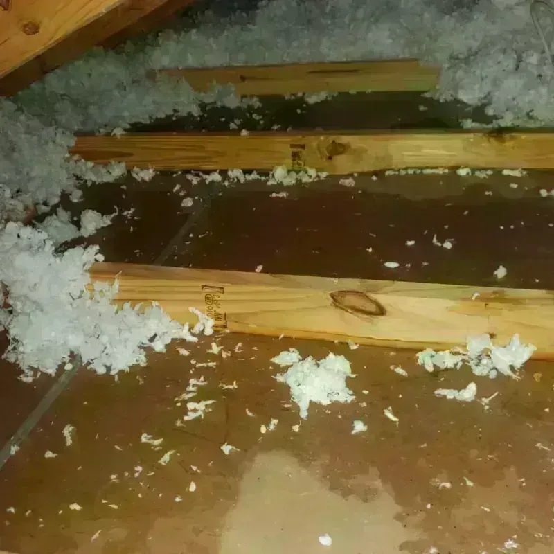 Attic Water Damage in Barre, MA